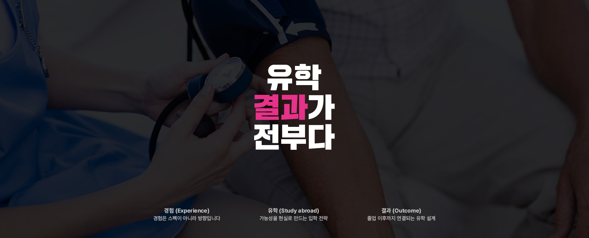 그리피스대학교